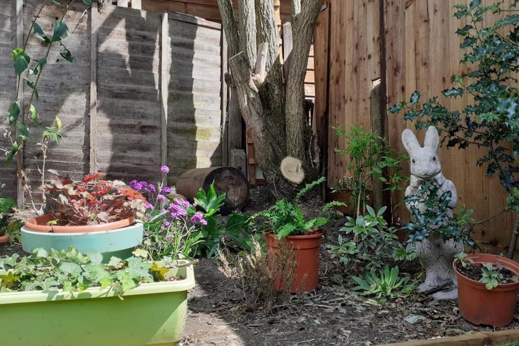 2Br Edwardian House In Greenwich Abbey Wood エクステリア 写真